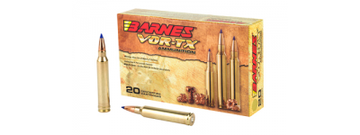 Barnes 300 Win Mag 21538